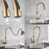 LuxeVario Goldene Küchenarmatur – Eleganter Einhebelmischer mit flexibler Ausziehbrause und 360° Schwenkfunktion